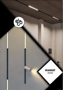 Ray-Magnet Serisi